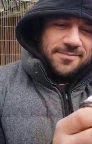 Ahmed Mekky Instagram - الحمد لله 🙏🕊

#احمد_مكي #حب_غير_مشروط #طاقة_إيجابية #الحمدلله 
#ahmedmekky #pigeon #birdsofinstagram #thank_god #positivity #positivevibes #unconditionallove #smile