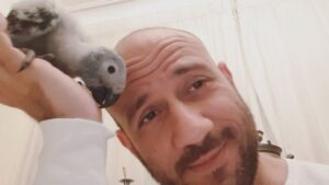 Ahmed Mekky Instagram - إبني الجديد ( زينهم ) بيمسي على الناس الحلوه 😘

#ahmedmekky #elkebeer #parrots #greyafricanparrot #bestfriend #bond #positivity #positivevibes #smile #birdsofinstagram #birds #freedom #free #pets  #godislove
#god

#احمدمكي #بغبغاءكاسكو #ببغاء_افريقي #هوايه #محبه  #الله  #خلق_الله  #سبحان_الله