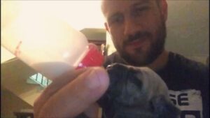 Ahmed Mekky Instagram - 🍼🍼🍼😍😍😍 #AhmedMekky #elkebeer #hobbies #pets #puppiesofinstagram #puppy #handfeeding #mastiff #bandog #workingdog #morning #smile #fun #egypt #motherhood #fatherhood #mercy
