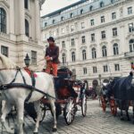 Ahmet Kürşat Öçalan Instagram - #horses in #vienna #beautifuldestinations #wien