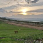 Ahmet Uğur Say Instagram - Yavru...