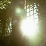 Ahmet Uğur Say Instagram - @volkdemir Rivendell - Middle Earth