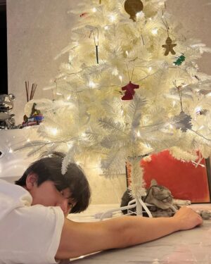 Ahn Hyo-seop Instagram - 🎄