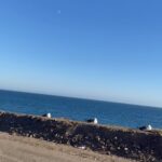 Akull Instagram - It feels good to be lost in the right direction ! 🫶🏻 Your new Long drives jam 🍭 P.s. heading to the hill top while filming i’m flyin in Malibu 🌊 #akull #akullonthebeat #udnelaga #imflyin #nofilter #malibu Malibu, California
