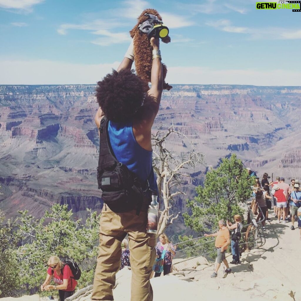 Alex Caceres Instagram - Showing rusty the #grandcanyon #intheshadowofthevalley