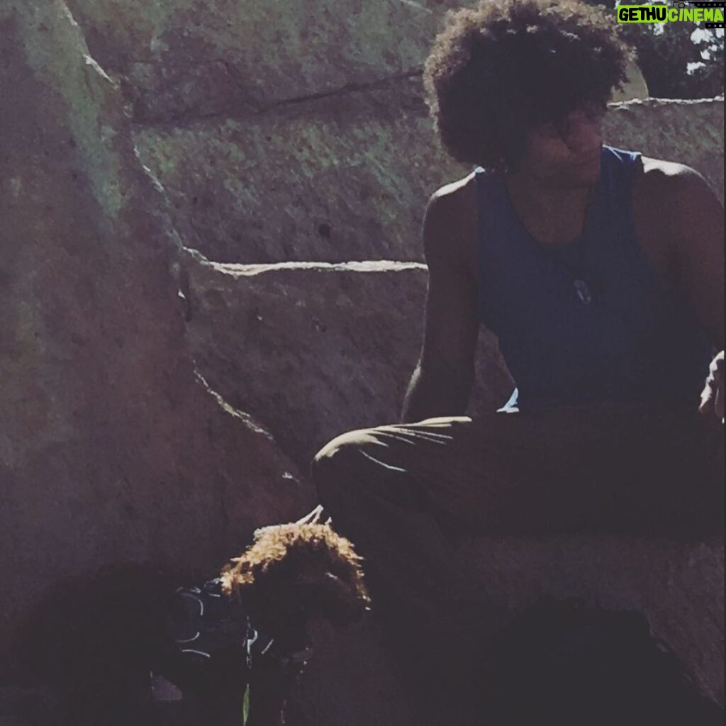 Alex Caceres Instagram - Showing rusty the #grandcanyon #intheshadowofthevalley