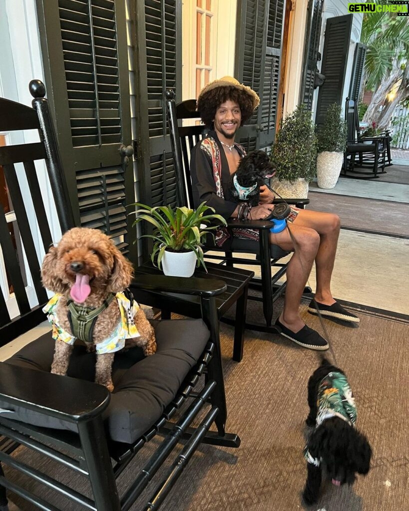 Alex Caceres Instagram - Family staycation and fur baby adventures 🐶💕