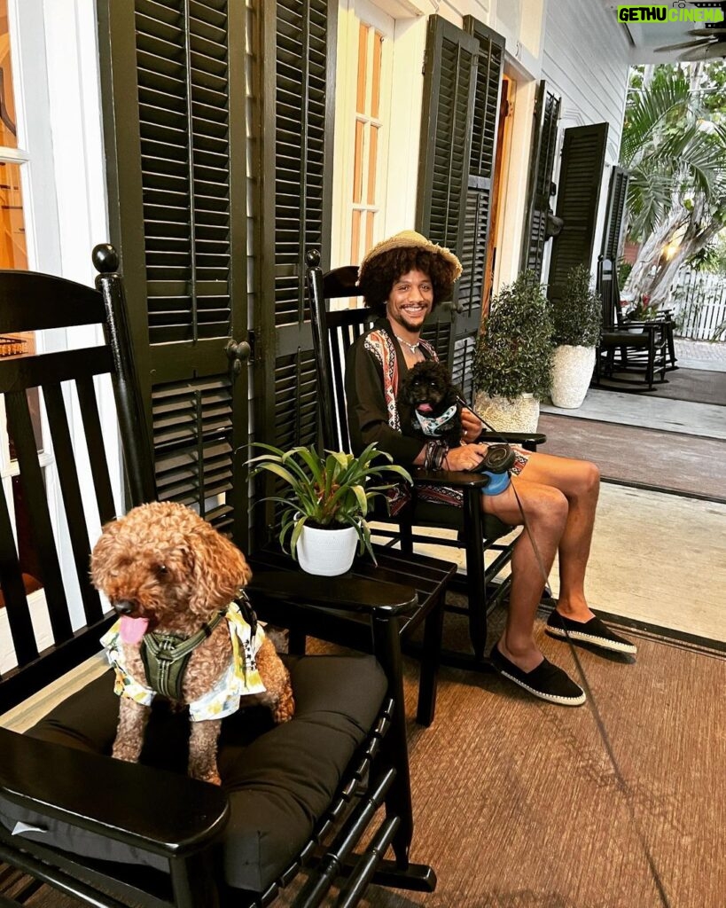 Alex Caceres Instagram - Puppy vacations😁 Old Town Manor Key West