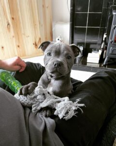 Alexa Davies Instagram - 2 weeks of Dennis Müller Davies 💕