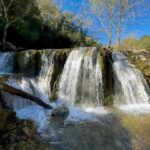 Alexandre da Silva Instagram - Made by nature Portugal