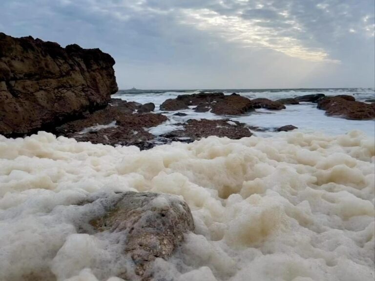 Alexandre da Silva Instagram - Era ainda mais bonito se fosse natural, sem poluição, é o que damos ao planeta e mesmo assim … Portugal