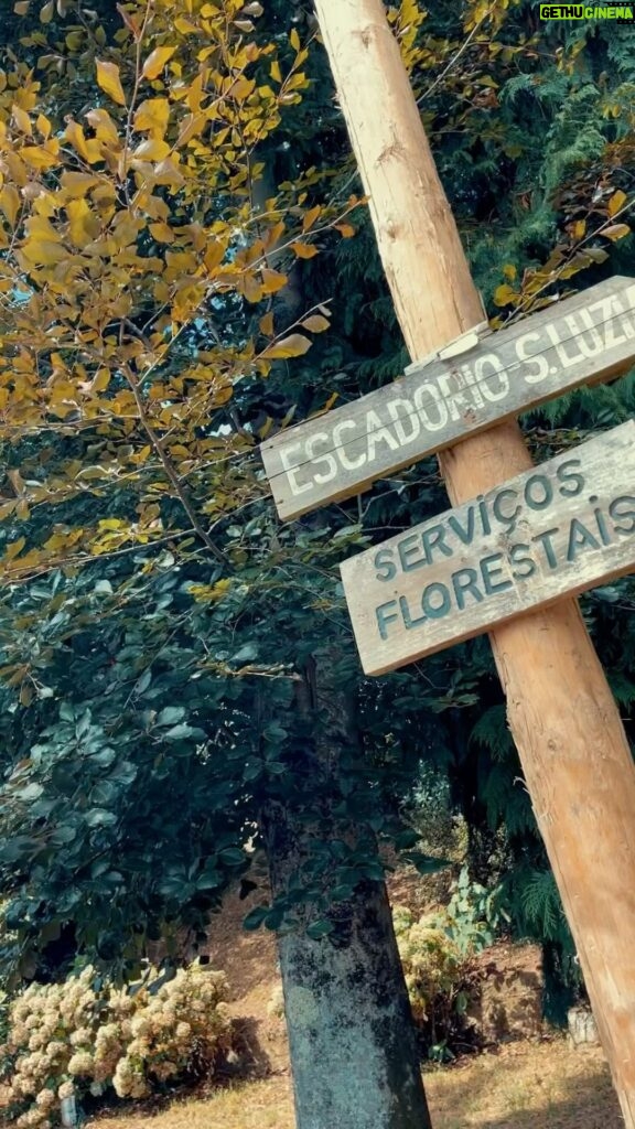 Alexandre da Silva Instagram - Mais uma das muitas subidas feitas a Santa Luzia ! Sempre um bom treino e uma grande paisagem sobre Viana do Castelo. É sempre bom voltar