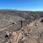 Alexandre da Silva Instagram – E em minutos destrói-se um património de anos, físico e ambiental. Força e resiliência. Parque Das Penas Da Marmeleira