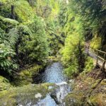 Alexandre da Silva Instagram – Algures no meio do Atlântico @visitazores @fsc_portugal São Miguel Island