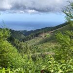 Alexandre da Silva Instagram - Algures no meio do Atlântico @visitazores @fsc_portugal São Miguel Island