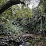 Alexandre da Silva Instagram - Algures no meio do Atlântico @visitazores @fsc_portugal São Miguel Island