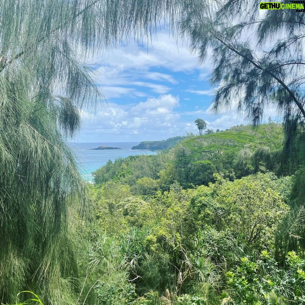 Alexis Floyd Instagram - slow and so Kauai