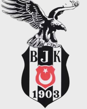 Ali Barkın Instagram - #şampiyonbeşiktaş Teşekkürler #beşiktaşım