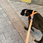 Ali Barkın Instagram - İstanbul’dan karışık anlar…
