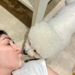 Alisshaa Ohri Instagram - He is my pawfect match🐶❤️ #FurBabyLove #DoggoSelfie #PawsAndPose #PetParentLife #BestBuddySelfie #CanineCompanion #PuppyLove #WoofWednesday #SmilingWithMyDog #DoggieDays #PetSelfie #InstaPup #DogLife #PawsomeMoments
