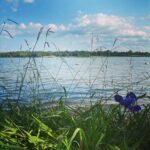 Amanda Righetti Instagram - Summer Daze