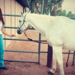Amanda Righetti Instagram - Horsing around 🐴🥕 #setlife