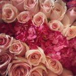 Amanda Righetti Instagram - Roses. My favorite. 🥳