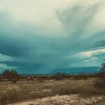 Amanda Righetti Instagram - Tut Tut looks like rain 🌧 #desertskies #arizona #locationfilming