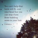 Amanda Righetti Instagram - #wednesdaywisdom