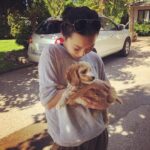 Amanda Zhou Instagram – Meet Axel everyone. The new love of my life.

#puppylove #newpup #soprecious