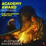 Amitabh Bachchan Instagram - Watched the trailer of the heartwarming story about baby elephants Raghu and Ammu. So proud of their @TheAcademy Awards Nomination. Congratulations #guneetm , #EarthSpectrum & @netflix_in My best wishes on your journey at the Oscars. https://youtu.be/a0J0b_OVa9w