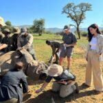 Amy Jackson Instagram - We met with the world renowned wildlife conservationist and vet, Dr Andre who had us be a part of his ‘Anti Poaching Rhino Operation.’ Rhino poaching in Africa is a grim reality driven by demand for their horns. Notching, a crucial conservation method, involves creating unique patterns on rhino ears for easy identification. This helps monitor and protect them, aiding in anti-poaching efforts and ensuring a sustainable future for these endangered giants. Dr Andre has also created a special Rhino tagging GPS device for real-time tracking, aiding conservationists in monitoring their movements, detecting potential threats, and understanding their behavior. This crucial data contributes to effective protection strategies. Alongside notching, the tags ultimately play a pivotal role in the battle against poaching and ensuring the survival of these magnificent creatures. Check out my highlights for all the behind the scenes action and more information on how you can support the protection of our wildlife. QWABI Private Game Reserve