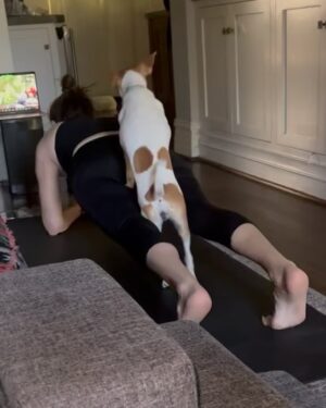 Amy Landecker Instagram - Like goat yoga. But different.