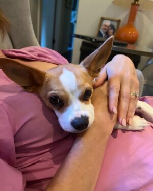 Amy Landecker Instagram - New baby in the house.