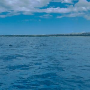 Amy Landecker Instagram - Thank you @oceanbluekona for an absolutely incredible adventure. Can’t wait to download the GoPro fishies. My mind is completely blown by how stunning nature is. Thank you for bringing it so close. And for the great tunes!