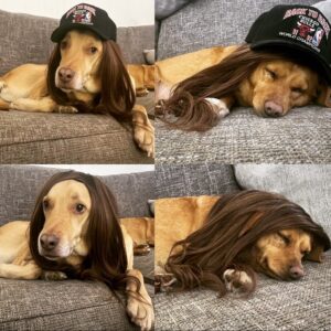 Amy Pemberton Instagram - Yup.