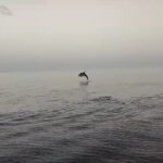 An Swartenbroekx Instagram - Impressionant! (Ik weet dat de horizon niet altijd recht is, maar de ontroering was te groot)