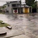 André Gabeh Instagram - Isso é tão a minha cara que se a sereia maravilhosa @nandogald não fosse uns quarenta quilos mais magro eu acharia que sou eu. PURO CINEMA Agora eu preciso de um rabo de sereia pra mim. Será que tem tamanho jubarte??? #mermaid #sereia #sereias #siren #sirena #love #purosucodebrasil