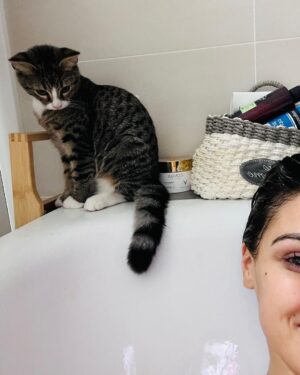 Andrea Kalousová Instagram - Tak jo, oficiálně vám představuji třetího člena naší rodiny. Seznamte se. To je Chicco. 🙊💁🏻‍♀️ Je všude se mnou. Když říkám všude, tak myslím všude. 👉😄 Je to miláček. Bála jsem se druhé kočičky. Jak si sednou s Tigi a tak, ale už teď vidím, že budou nerozlučný parťáci. #ufíček Jako jasný obešla bych se bez Tiginy pomsty u mě v posteli, to jako jo. 💩🤣 Každopádně přísahám, že druhou kočičkou jsem skončila… Kamarádi mají o mě trochu strach. 😅😅😅 Ale tak jaký by to asi bylo mít těch koček třeba pět? 🤣 Haha