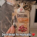 Andrea Kalousová Instagram – Ať už na Vánoce nebo po cely rok. Moje kočičky dostávají to nejlepší. Protože když velký podíl masa v krmeni, tak Shelma. ♥️ @shelmacz Prague, Czech Republic