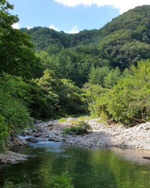 Andreas Varsakopoulos Instagram - 계곡 위치는: 비밀 ;)
-
A river spot at an undisclosed location (my secret ;)
-
#🍉🍺🏞️