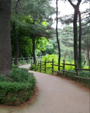 Andreas Varsakopoulos Instagram - 지루하고 힘들지만 하고 나면 즐거운 기분이 드는 것이 뭐에요? 저는 운동이라고 하고싶지만 솔직히 운동이 그렇게 힘들진 않아요. 운동을 아주 어렸을때부터 해서인지 내 몸을 자율주행 모드로 설정한다 생각하고 힘을 많이 쓰지 않아요. 
요즘 유튜브 편집할때 정신적으로 많이 힘들고 지루해요. 하지만 편집을 끝내고 보면 노력한 만큼 보람을 느끼는 것 같아요. 즐기는 마음은… 조금 더 실력이 늘어야 느낄 수 있을 것 같아요ㅋㅋ
-
What's one thing that's difficult but you enjoy doing regardless of the repitition?
I want to say training, but I don't think it's mentally "difficult" for me because it's something I've been doing since I was a child. Recently, I've found video editing to be mentally difficult, and repetitive, but equally as rewarding. As for the enjoyable part, I think I need to get a little better before that's the case haha
-
#무브업 #moveup #운동 #건강한 #라이프 #healthy #life