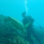 Andy Bian Instagram - 為了新工作來學習一下新技能 四天的水肺課程，讓我彷彿開啟了新世界的大門 原來水行俠的世界這麼有趣！ 海洋覆蓋了地球71%的面積， 還有好多的地方值得我們去探險！ 從墾丁出發，下個月朝向新的國度上山下海去🤩 （BTW潛水都拍不出帥照💁🏻‍♂️） 謝謝夥伴們這趟的照顧❤️ #ow #aow #高氧 #水肺 墾丁 Kending
