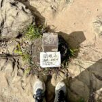 Andy Bian Instagram - 最近因為工作不能跑太遠的關係， 發現在市區爬山、看書、整理菜園也是很不錯的充電選擇。 大家休假都怎麼充電呢😳