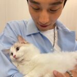 Andy Bian Instagram - 被寵物融化的每一個瞬間～ 看到小動物就⋯⋯完全戀愛了❤️ #小情人們快樂
