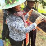 Angelina Jolie Instagram – On World Bee Day, I am happy to support the Women For Bees initiative, to promote sustainable beekeeping practices and female entrepreneurship. 

Since 2010 the MJP Foundation in Cambodia has worked with local women in Samlout to generate income and employment using sustainable wild honey-harvesting techniques. However, recurring forest fires and increases in pesticide use nearby destroyed wild honey sites, dropping production dramatically. Now, alongside UNESCO and Guerlain, the MJP Foundation trains local communities on farming and raising bees to produce honey.

#MJP #WomenForBees #UNESCO #WorldBeeDay #GuerlainforBees
📷 @DanWintersPhoto