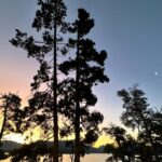 Angelique Boyer Instagram - Yin Yang ☯️ como el día y la noche ✨ Feliz año nuevo lunar 🧧 🌚🌝 El año del dragón 🐉✨🍀✨🙌♾️