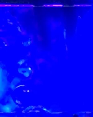 Angelo Mutti Spinetta Instagram - meanwhile…… (🤍)