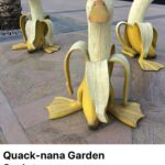 Anna Cain Bianco Instagram - Duck duck silly goose Manhattan, New York