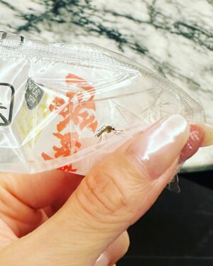 Anna Kay Instagram - Keep pink heart. #cream #kind